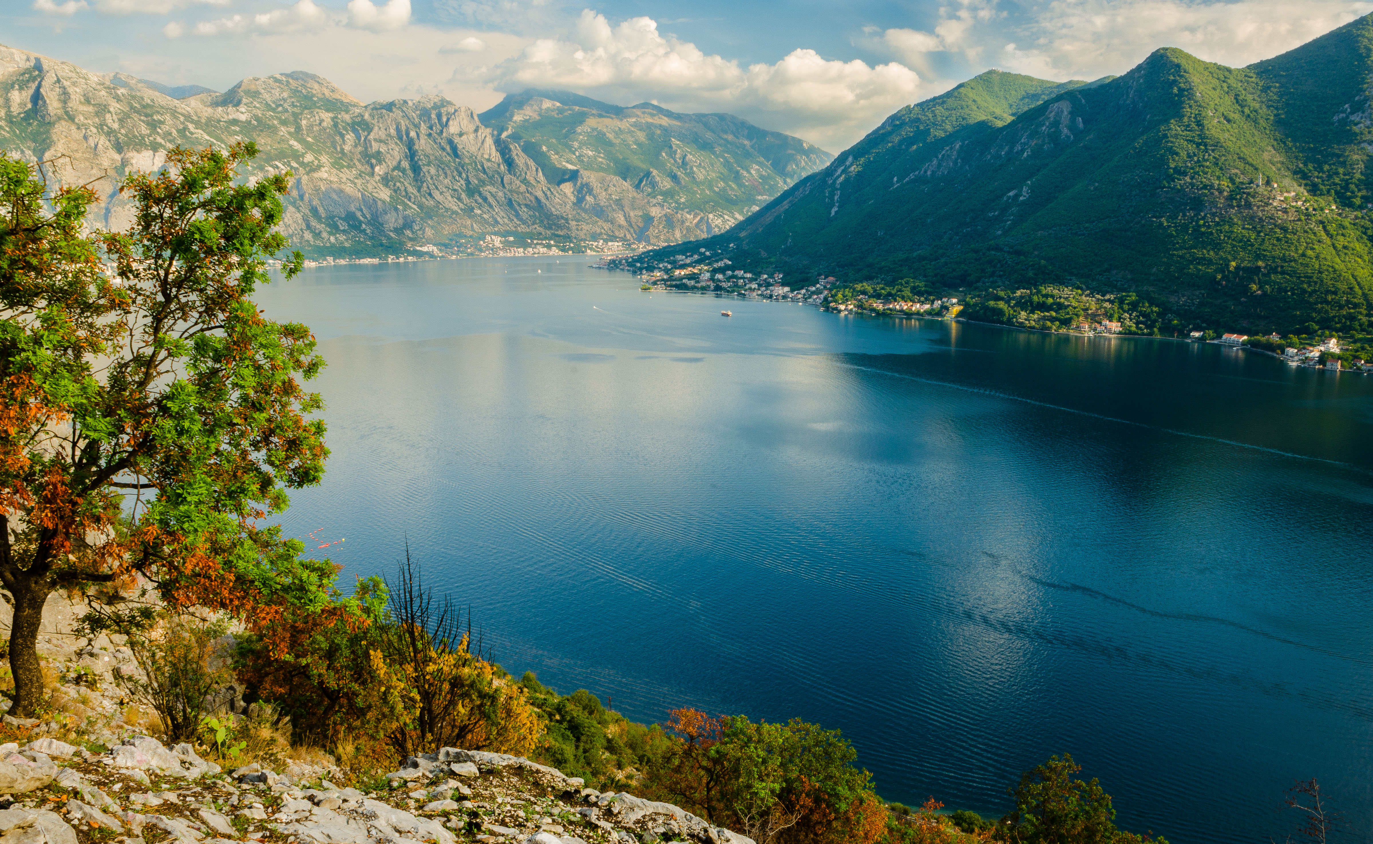 Kotor Bay, from above Perast.JPG