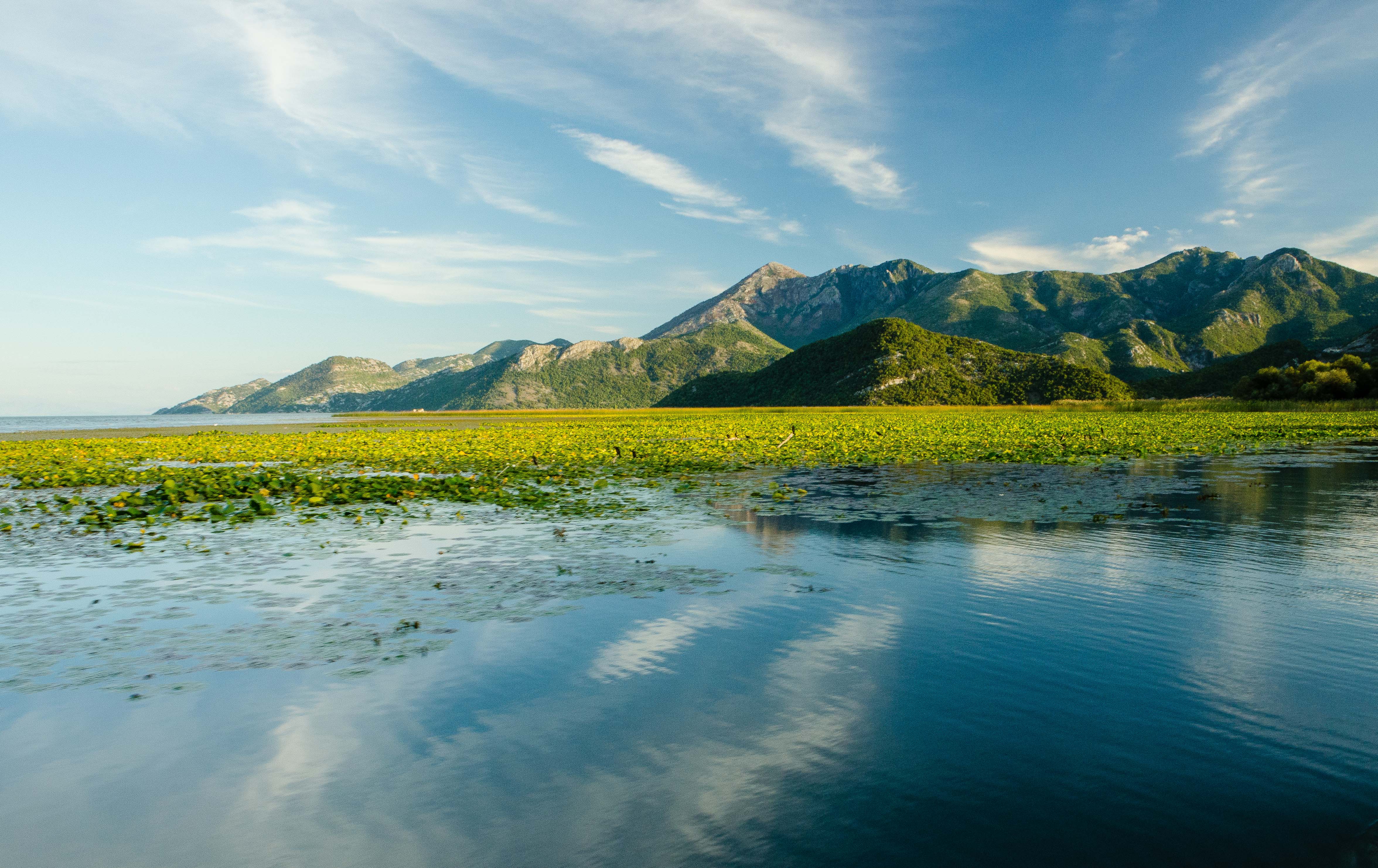 Skadar Lake and Mountains.JPG