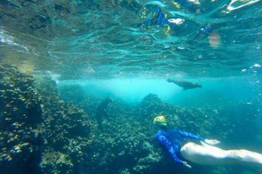 Donna MacIsaac galapagos shot by naturalist guide mateo ver.jpg