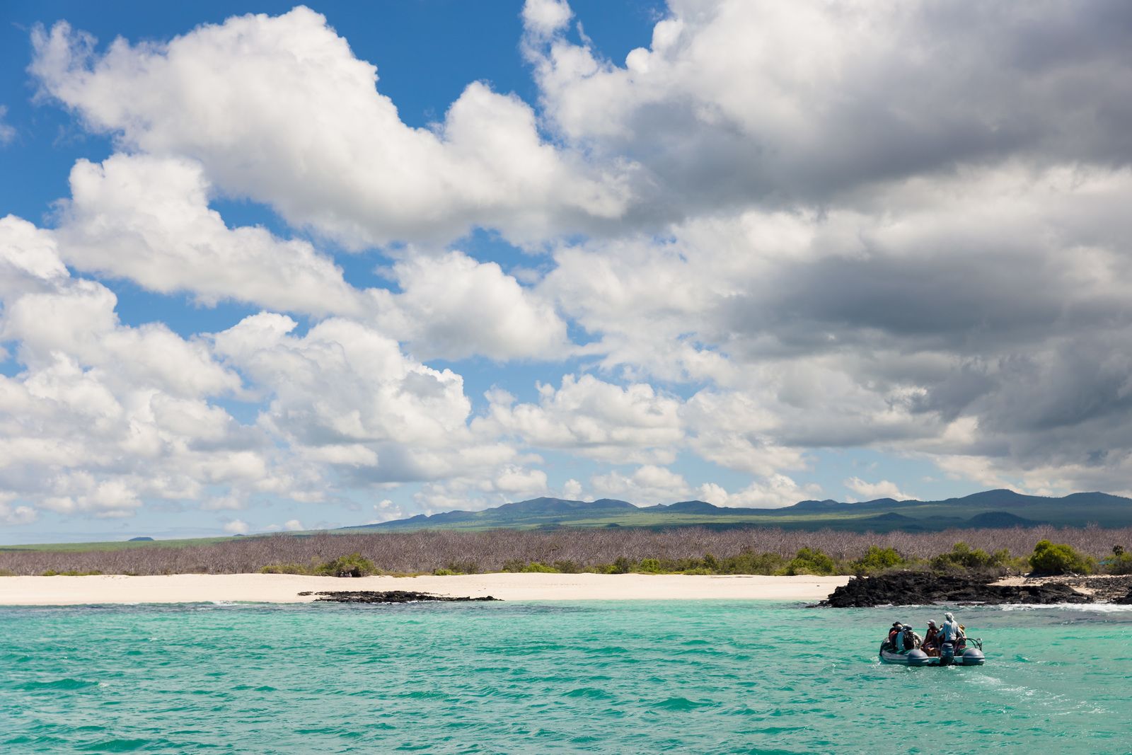 Galapagos-Islands-North-Seymour-0060.jpg