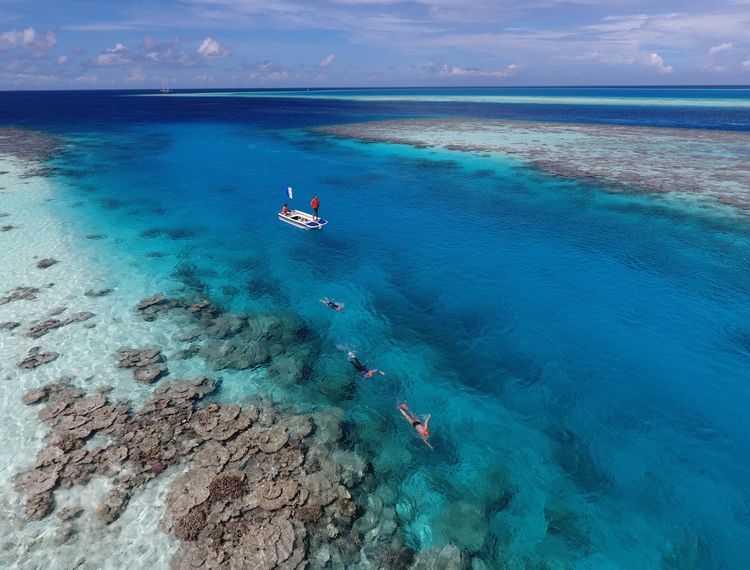 Swimming Holidays Maldives swimmers