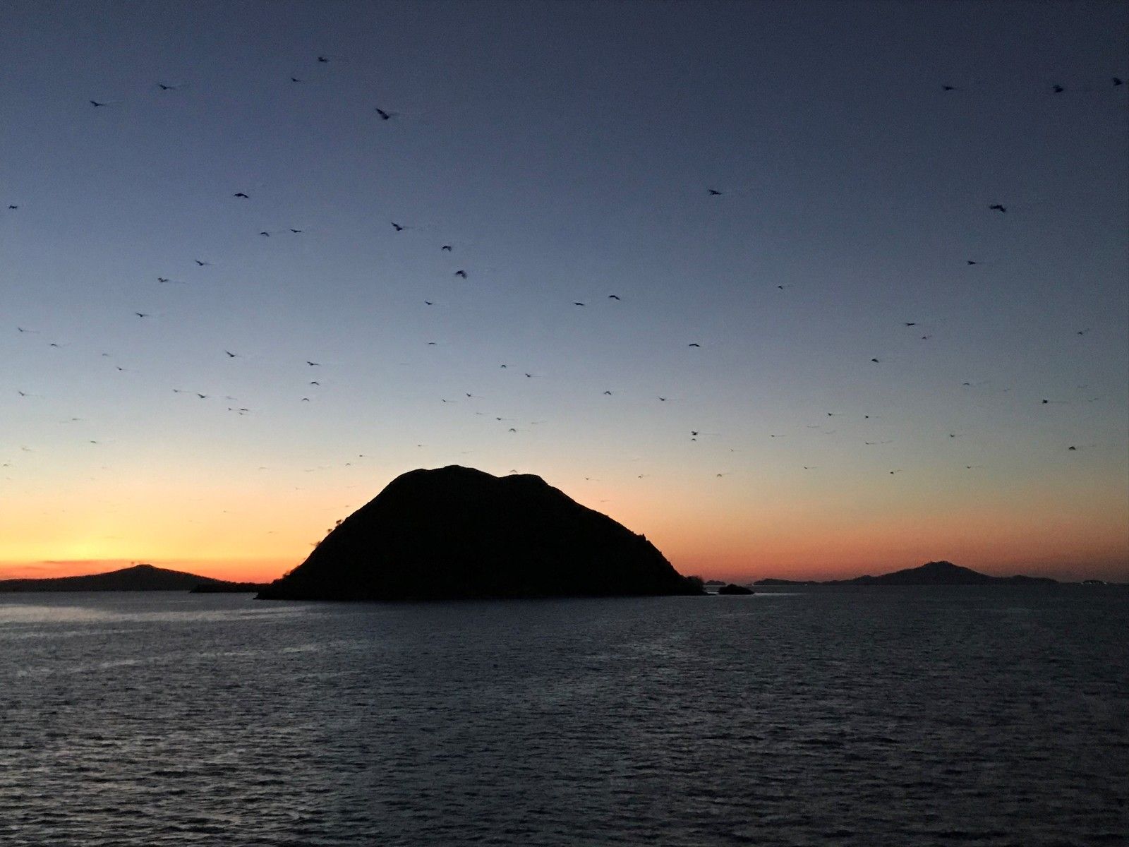 Swimming_Holidays_Komodo_Indonesia_flying_fox_Kalong_Island_credit_Paul_Selar.jpg