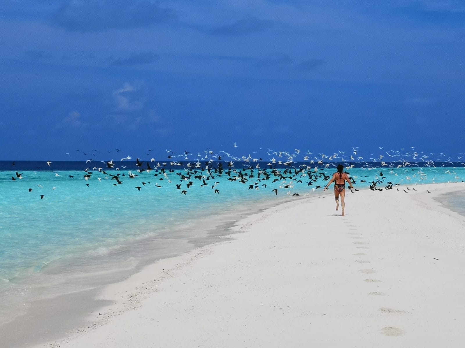 tracey hall maldives potm