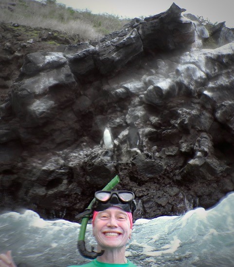 Marlys guest with camouflaged penguins galapagos