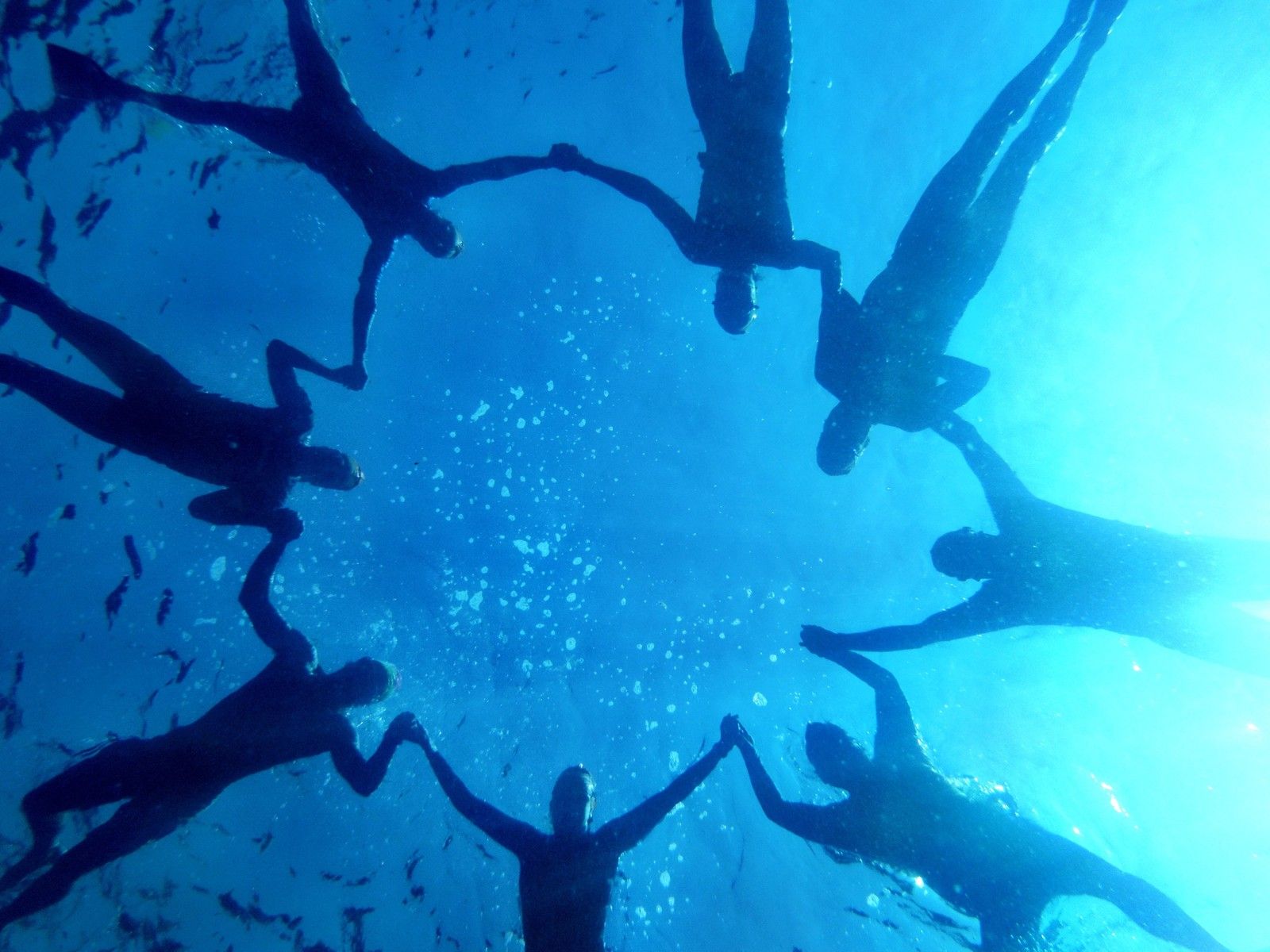 andrew norris group underwater shot galapagos.jpg
