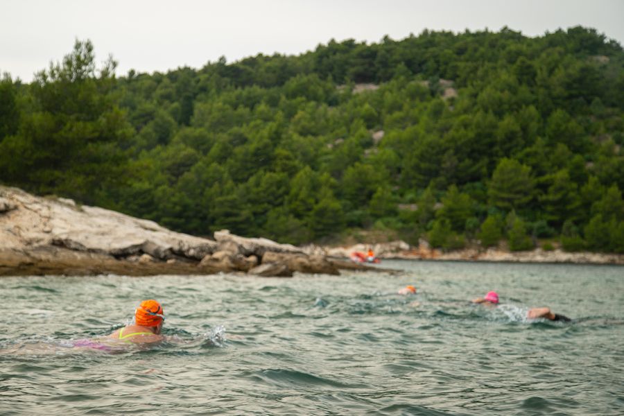 DALMATIAN COAST SWIMMERS