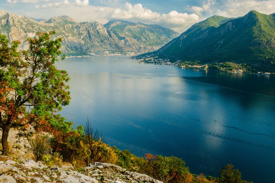 Kotor Bay, from above Perast.JPG