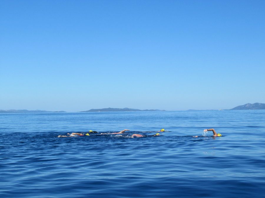 kornati swimmers