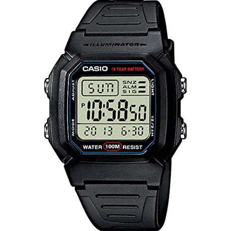 casio w800h.jpg