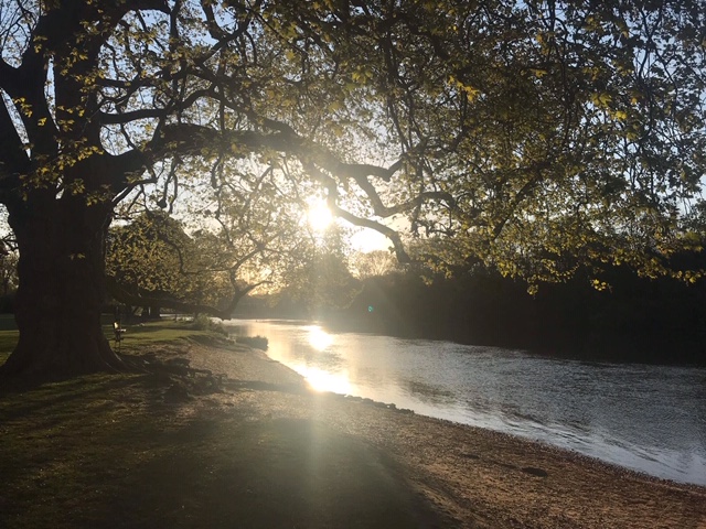 Sunbury sunrise, Emma Richards