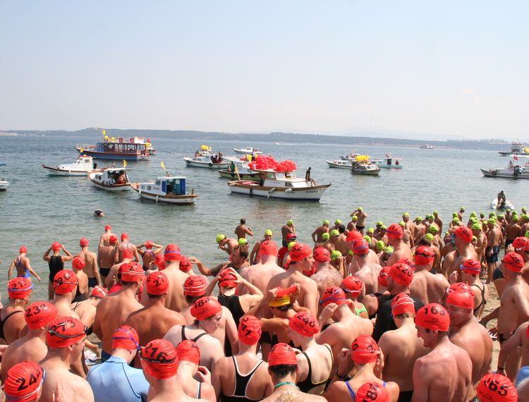 Hellespont and Dardanelles Swim- search image.jpg